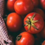 Canning Tomatoes