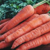 Canning Carrots