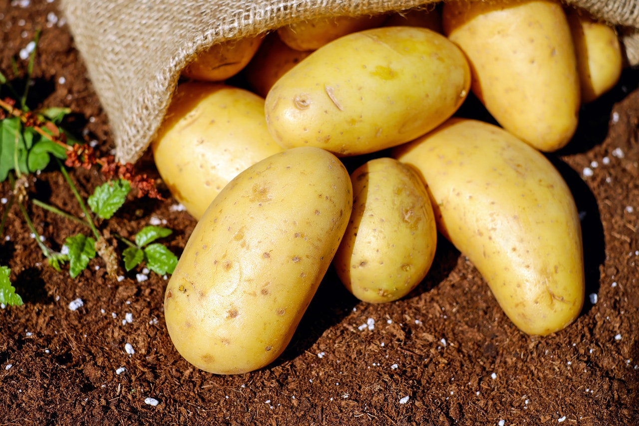 Canning Potatoes